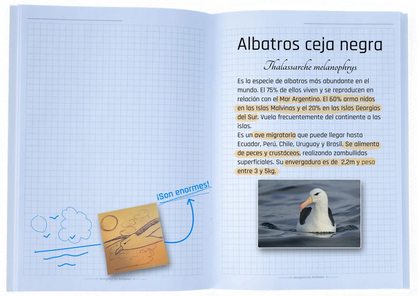 Carpeta Info Albatros